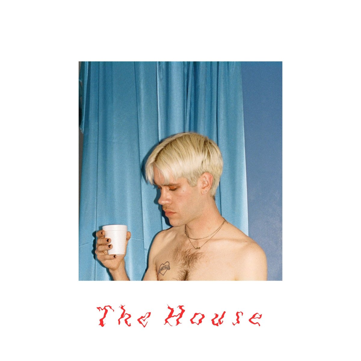 The House [VINYL]