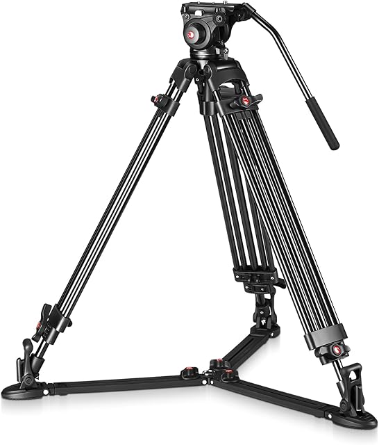 RAUBAY DV-2 Professional Fluid Head Video Tripod System, 69" Heavy Duty Camera Stands with Ground Spreader, Aluminium Twin Leg, QR Plate, Max Load 17lbs for DSLR, Digital Cine Style, Camcorder