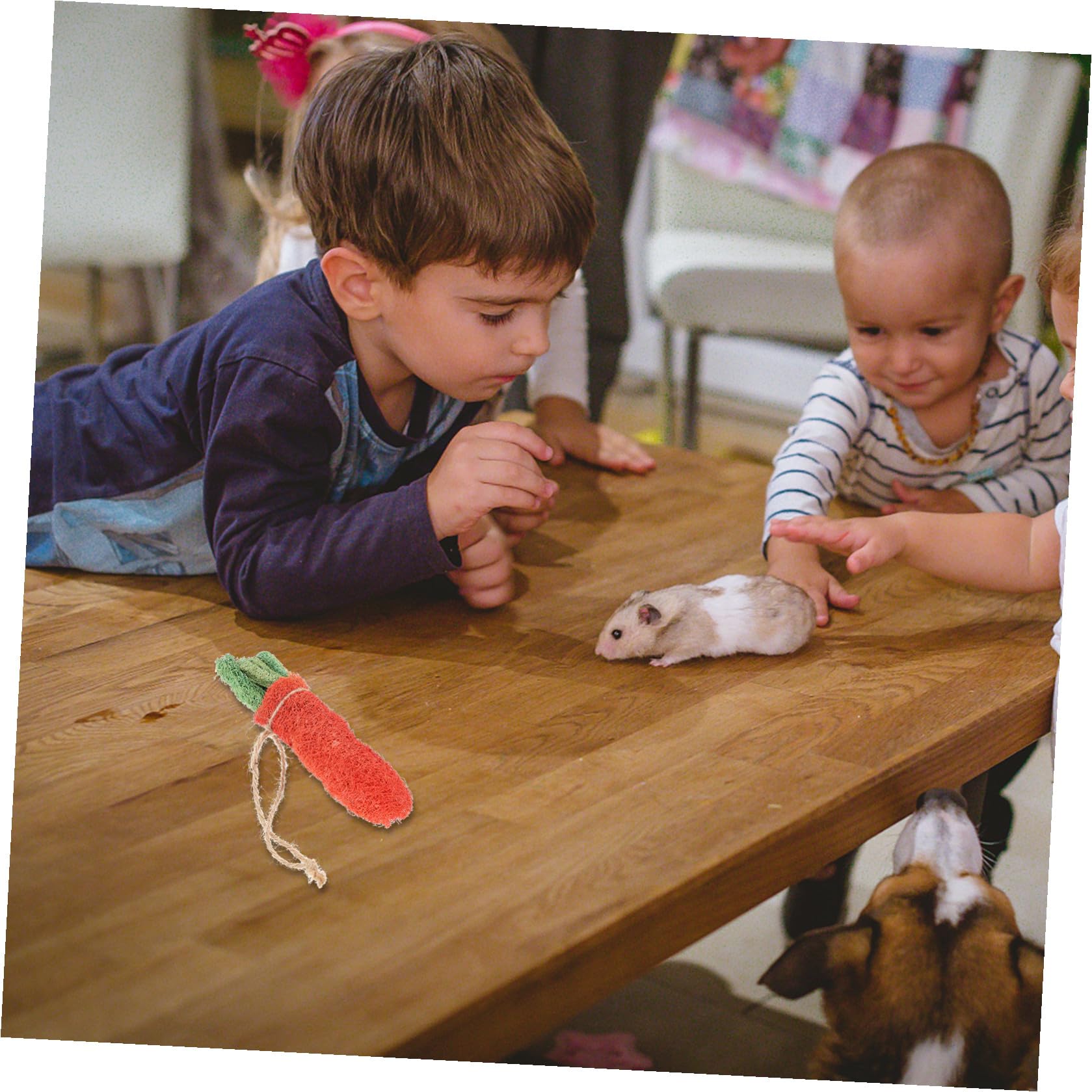 FOMIYES 8pièces Jouets à Mâcher pour Hamsters Décoration pour Cage de Hamster Accessoires pour Lapins Jouets Molaire pour Petits Animaux Couleur Aléatoire