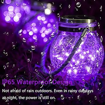 ライト・ランタン djadjariensis ゴルトランタンソーラーライト NRO-08 4975149442249