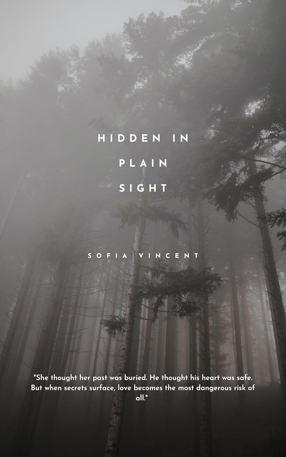 Hidden in Plain Sight (Secrets and Starting over series Book 1