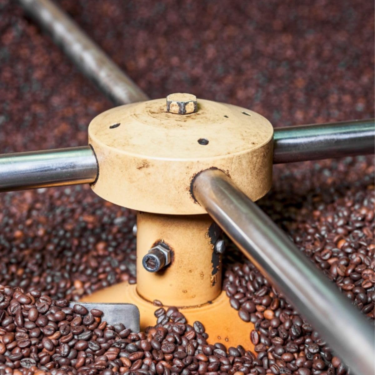 Campo Caffè - Decaffeinato - Caffè in Grani Artigianale Italiano 2 Kg, Espresso Morbido e Delicato