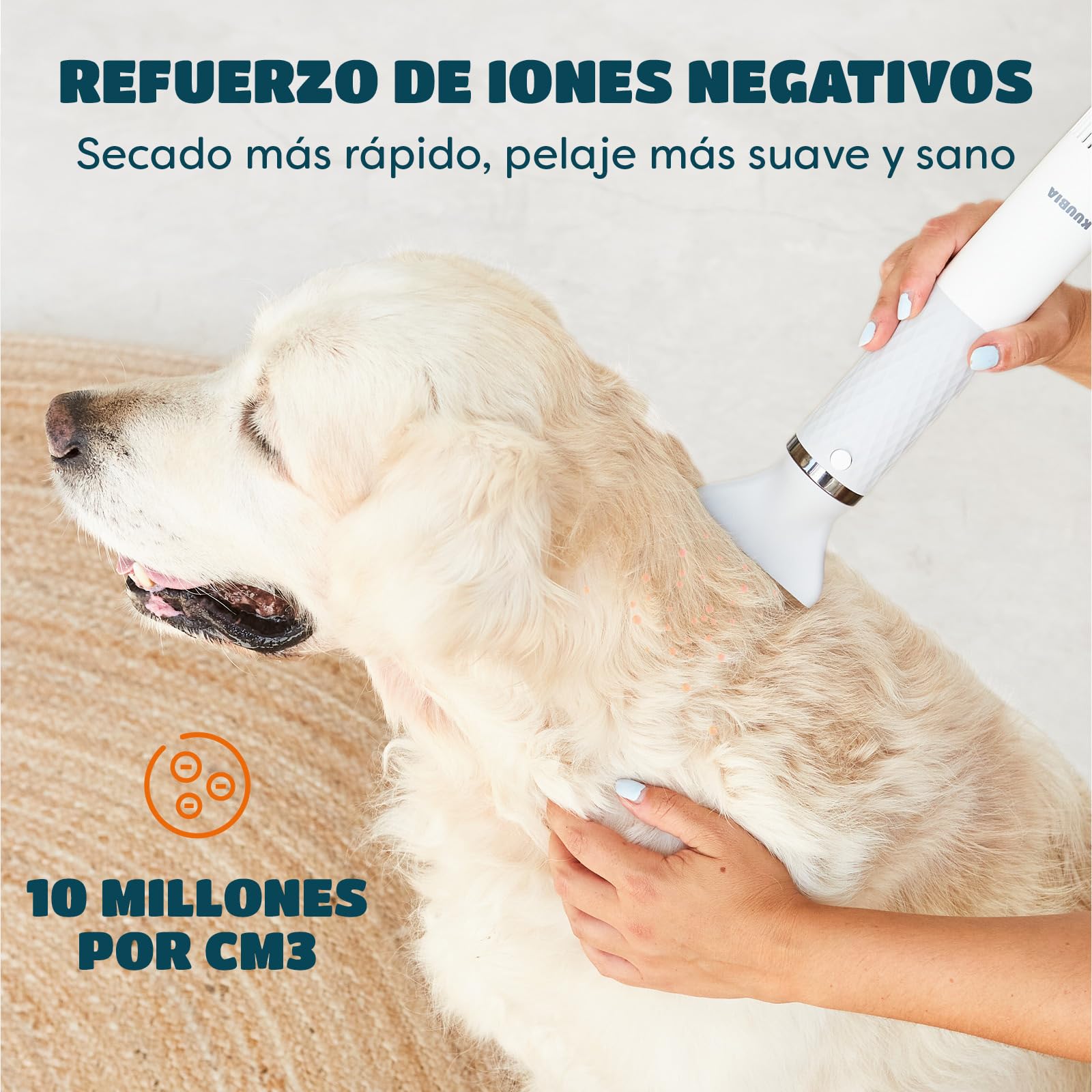 Secador de pelo para perros 5 en 1 con boquillas, cepillo resbaladizo, control NTC, iónico