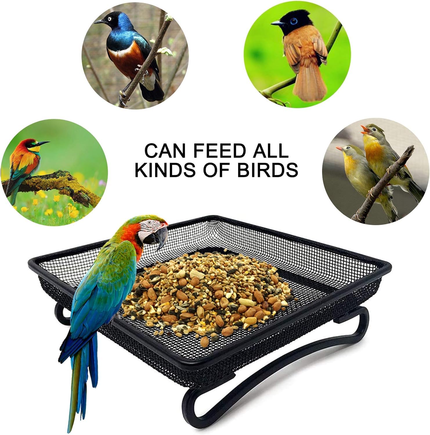 Comedero para pájaros Colgante de Bolas,Bola Colgando Salvaje,comedero para pájaros al Aire Libre,Aves Silvestres para Colgar,comedero para pájaros Colgante a Prueba de Ardillas (A) — view 5