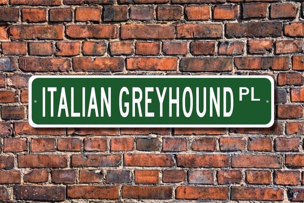 Metal Street sign Italian Greyhound Sign Dog Gift Dog Owner Metal Aluminum Sign 16x4 inches