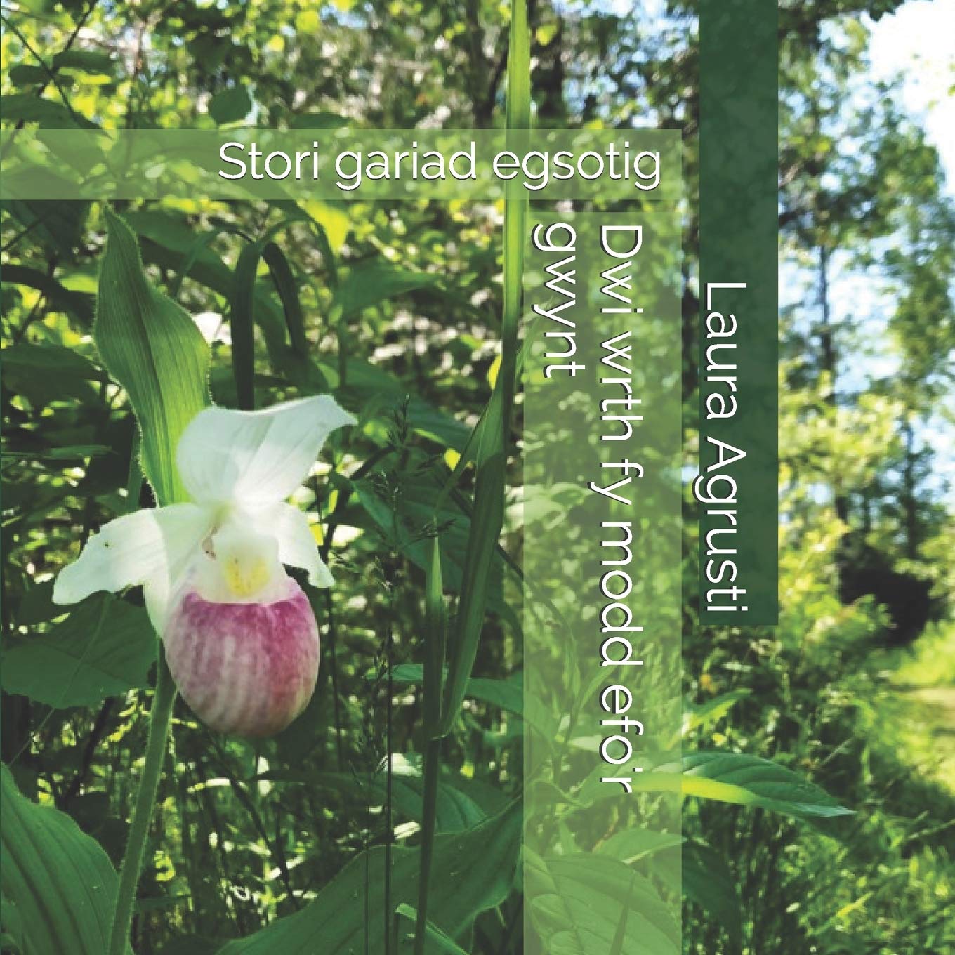 Dwi wrth fy modd efo'r gwynt: Stori gariad egsotig