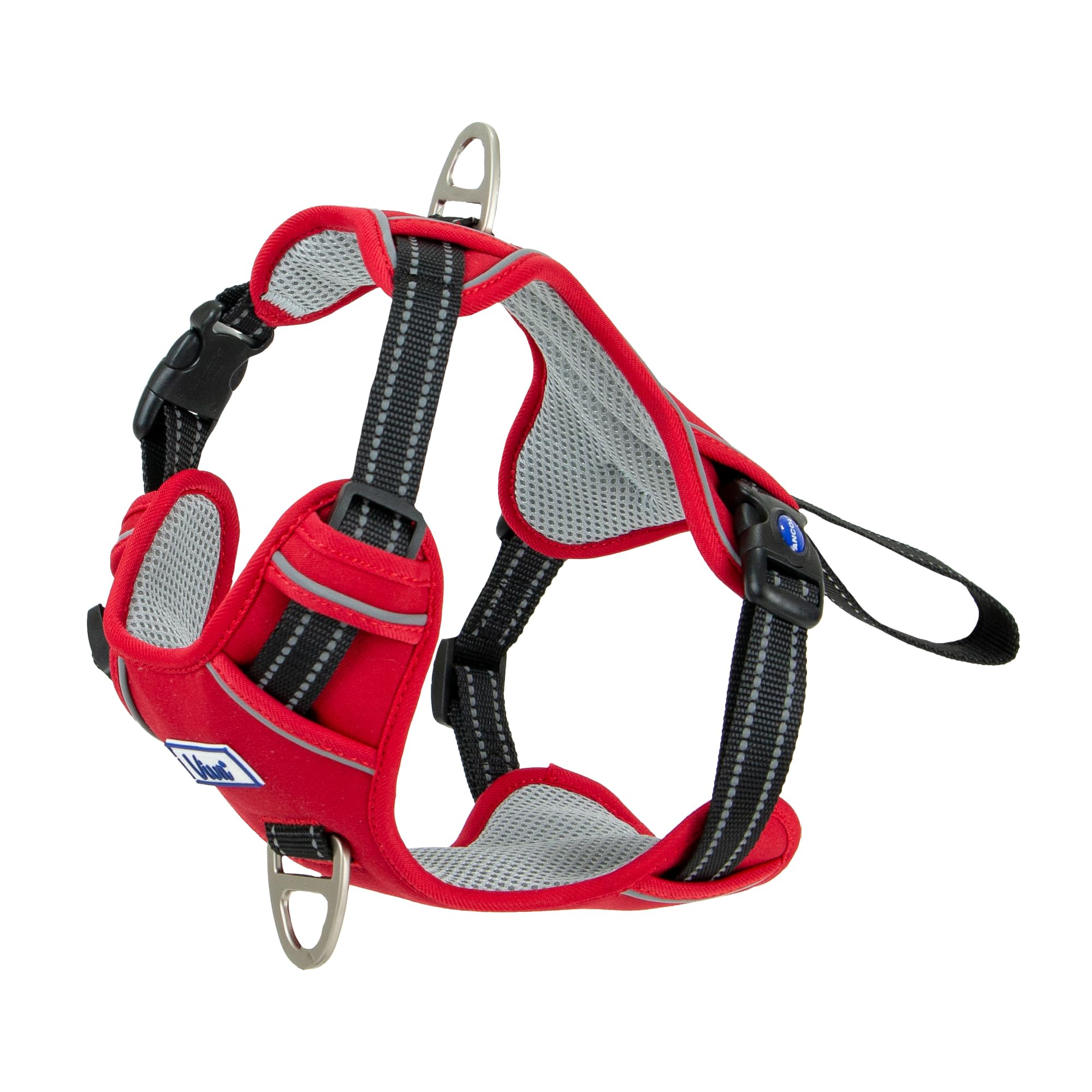 Ancol Viva Exercise and Travel Dog Harness in Red - Comfortable Pet Accessory with Padded Chest and 2 Leash Clips - Large 60-85cm