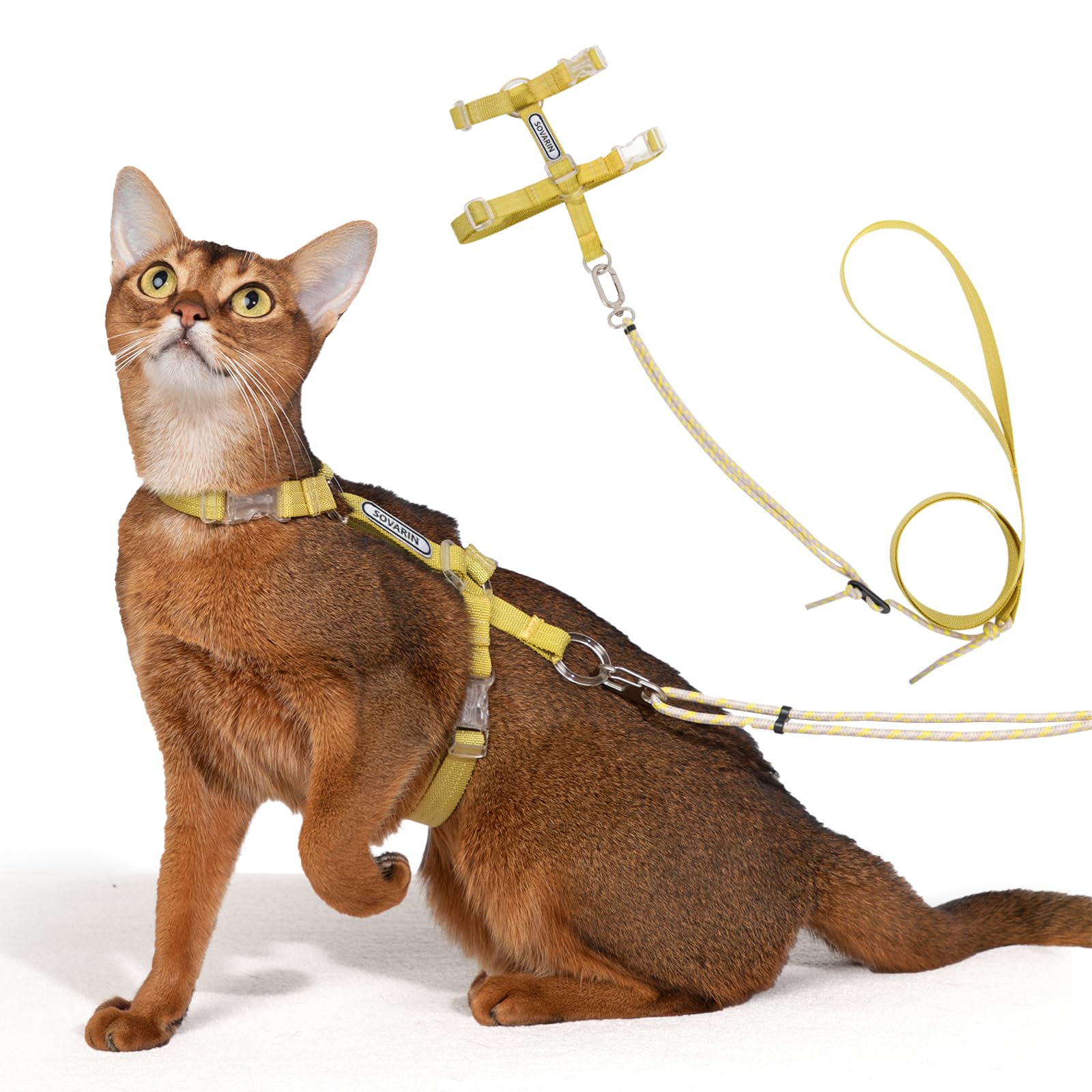 Harnais pour chat doux et léger de qualité supérieure jaune