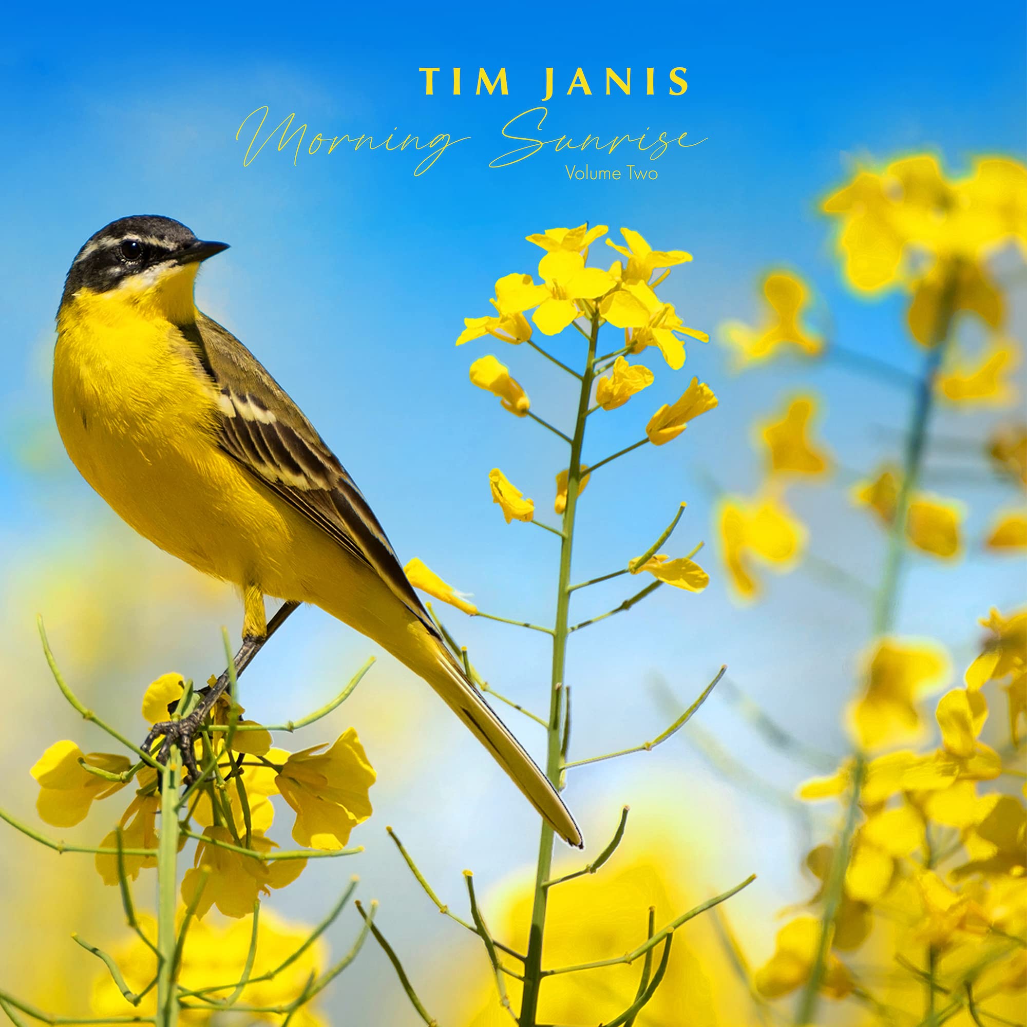 Tim Janis Morning Sunrise Volume Two Audio CD - Traditional Hymns - Elevate Mornings with Relaxing Instrumental Music, Soft Piano Melodies & Soothing Inspirations , Songs for Relaxation & Stress Relief [Audio CD] Tim Janis