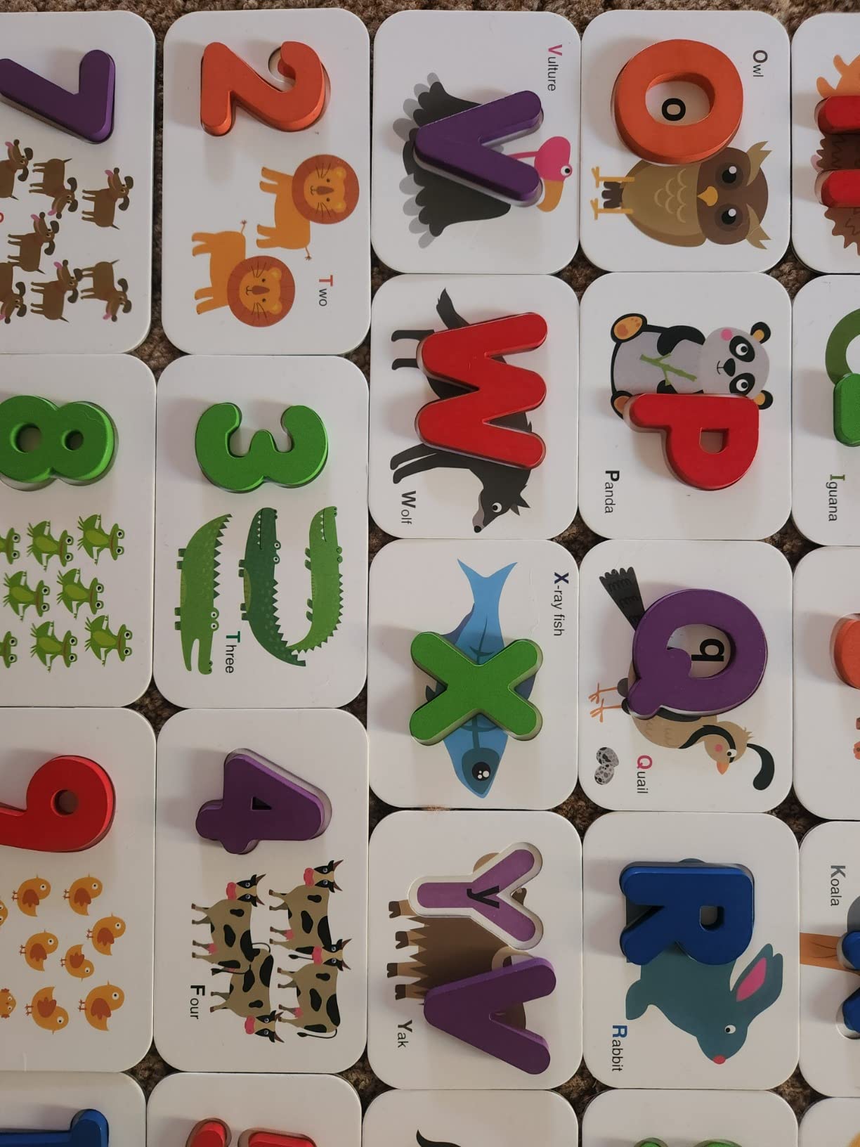 Coogam Numbers and Alphabets Flash Cards Set - ABC Wooden Letters and ...