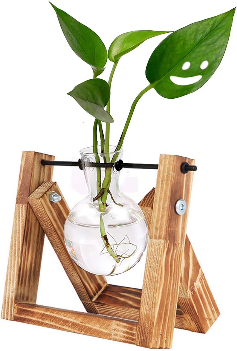 HUABEI Plant Terrarium Wooden Stand, Air Planter Bulb Glass Vase Metal Swivel Holder Retro Tabletop Hydroponics Home Garden Office Decoration - 1 Bulb Vase