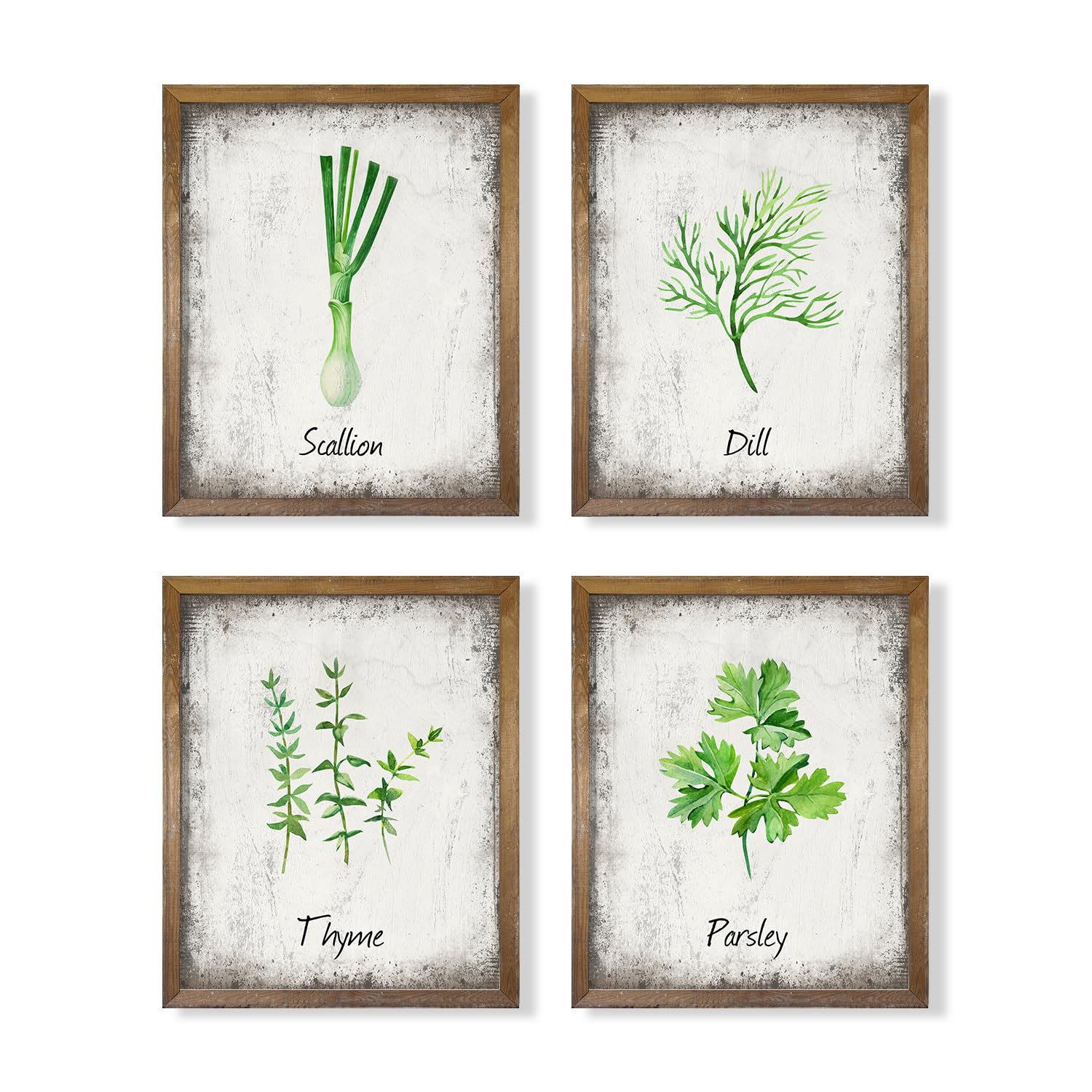 Herbs and Spices Kitchen Dining Wall Art Decor - Poster Prints for Cafe Restaurant - Green Spices Botanical - Rustic Vintage Sign Photo Decoration - Gift for Cooks Chefs - Fruit Herbs Cooking Lovers