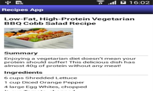 whey protein recipes