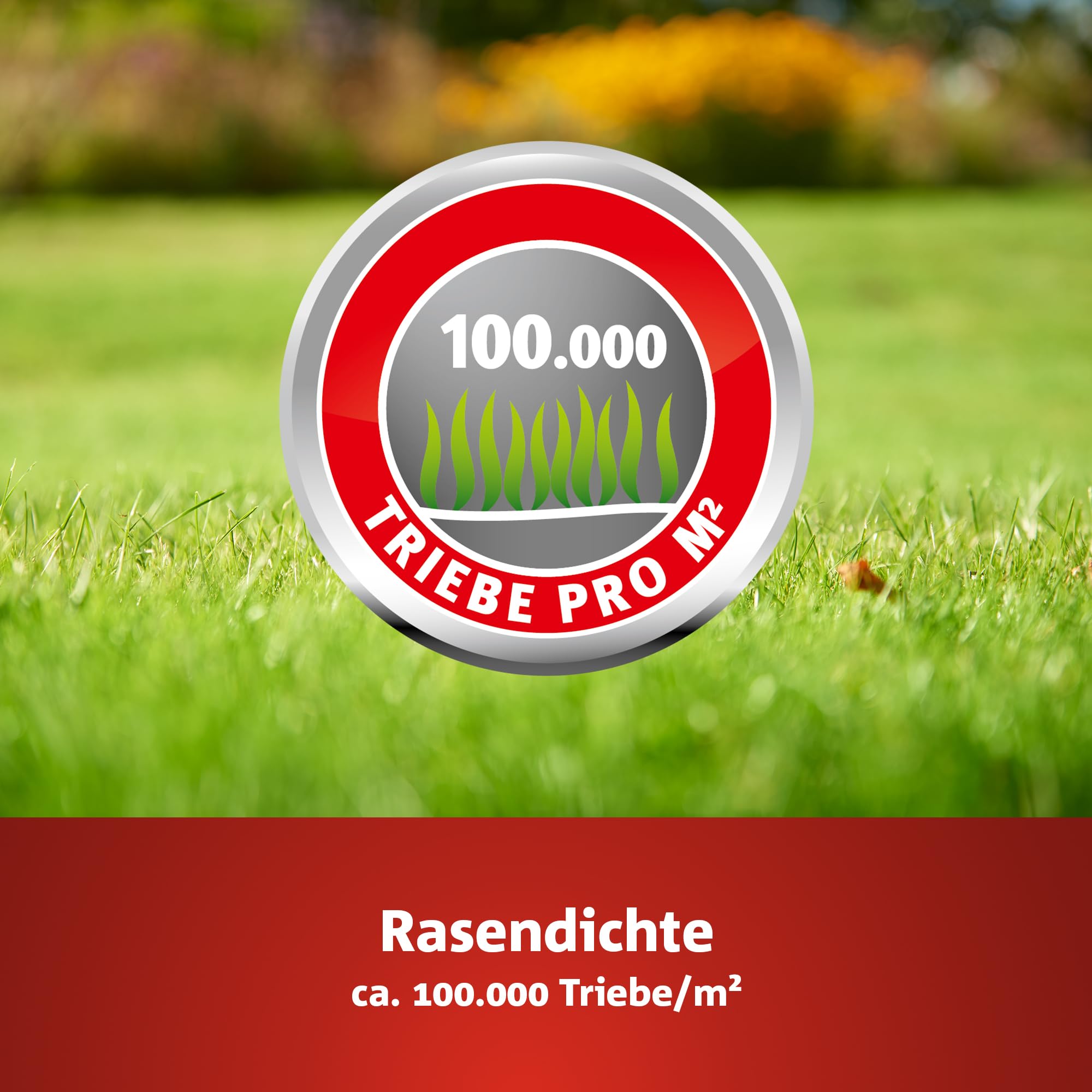 WOLF-Garten „Schatten & Sonne“ Premium-Rasen LP 50 (für 50 m², sehr hohe Dichte mit ca. 100.000 Trieben/m2, besonders strapazierfähig, hohe Schattenverträglichkeit, 1kg Faltschachtel) 3820031