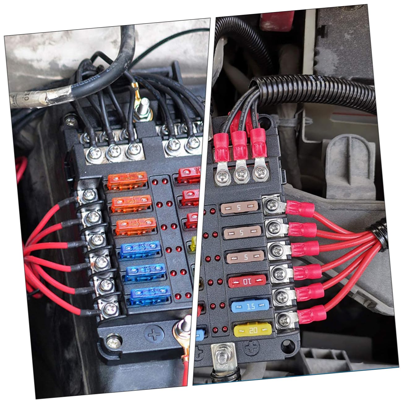 iplusmile Porta Fusibili per Auto e Barca 12 Vie Protezione Anti Spruzzi D'acqua, Struttura in Pbt e Rame Nichelato, Manutenzione Rapida Luce LED Indicatrice e Accessori Completi