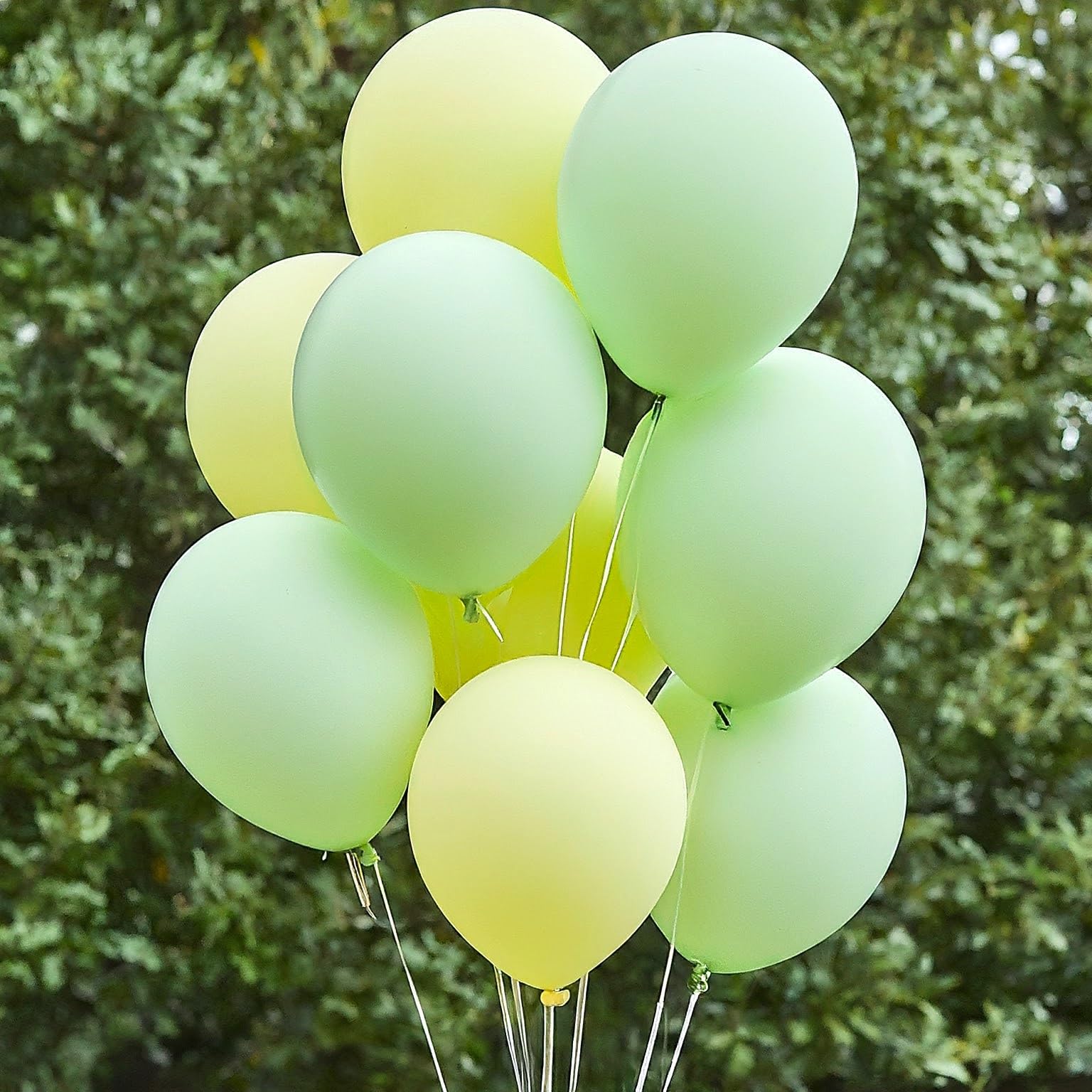 AMFIN (Pack of 50) Pastel Birthday Decoration Item Balloons - Green & Yellow 4