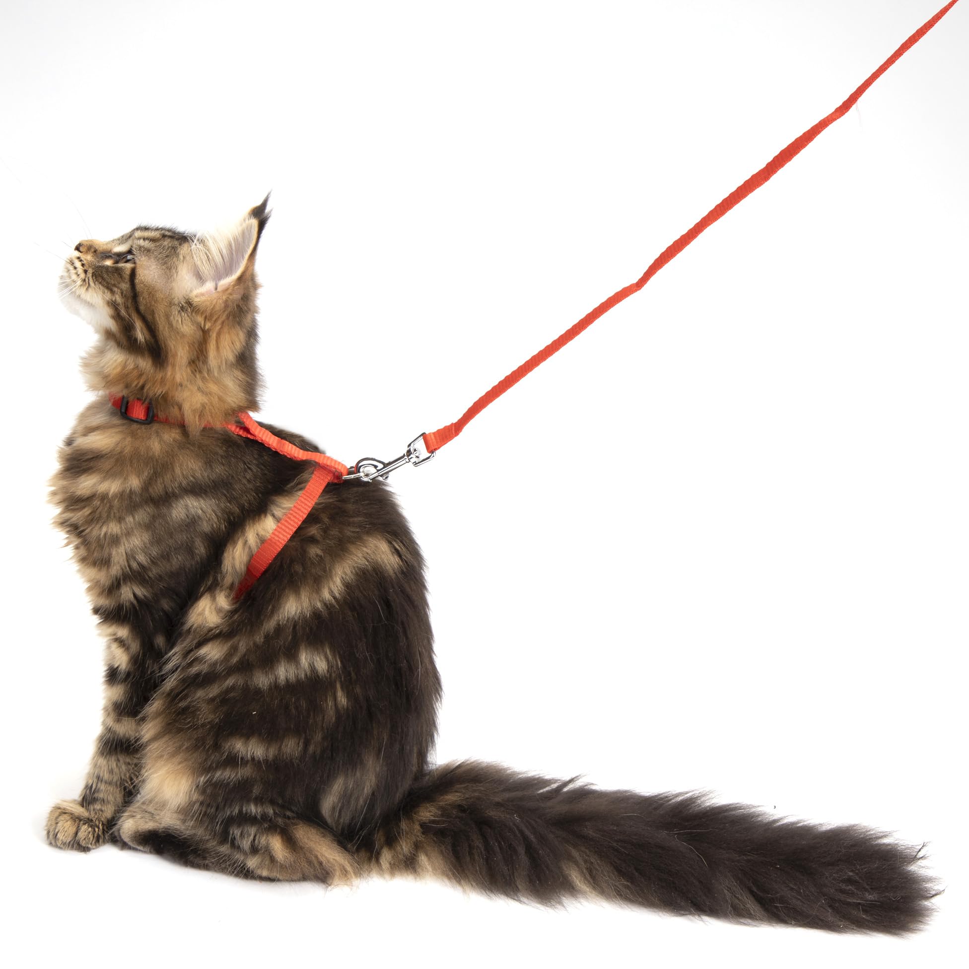 SONDEY Paris Prix Cat Harness & Lead Kit 120 cm Red - Image 2