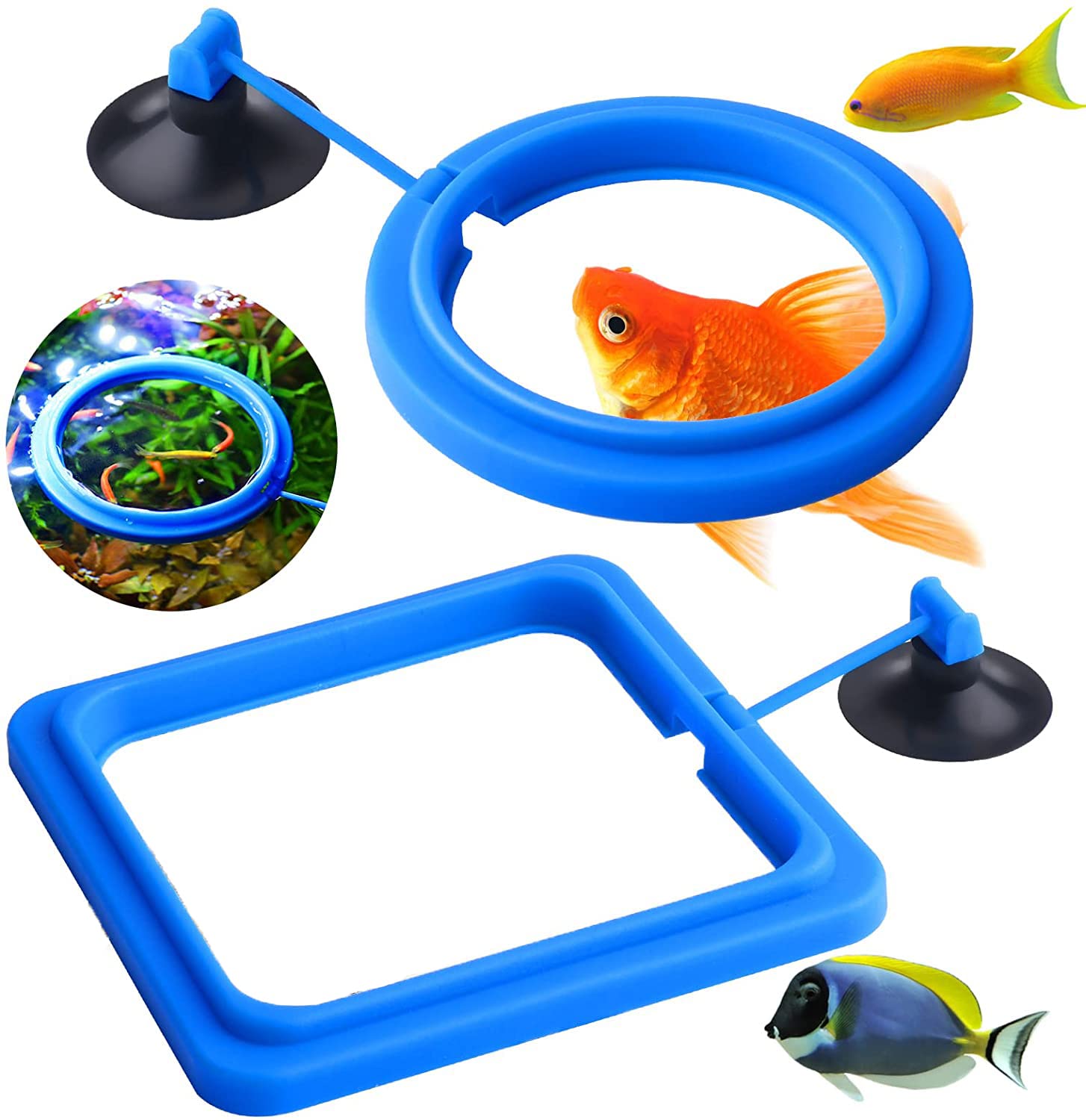 KASTWAVE Fish Feeding Ring, 2 Pcs Safe Floating Food Feeder Circle Blue, With Suction Cup Easy to Install Aquarium, Turtle Tank Accessories (Square+Circle)