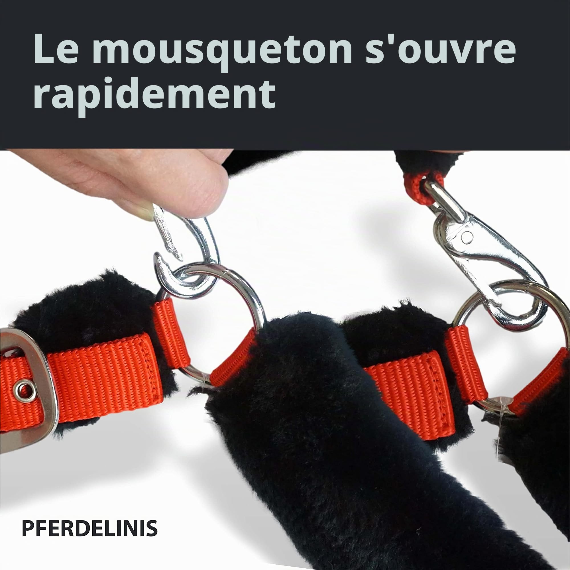 Pferdelinis Licol et Longe pour Cheval avec Longe, Crochet de Panique, Licol Poney, COB, Sang Chaud, Sang Froid (Globe)