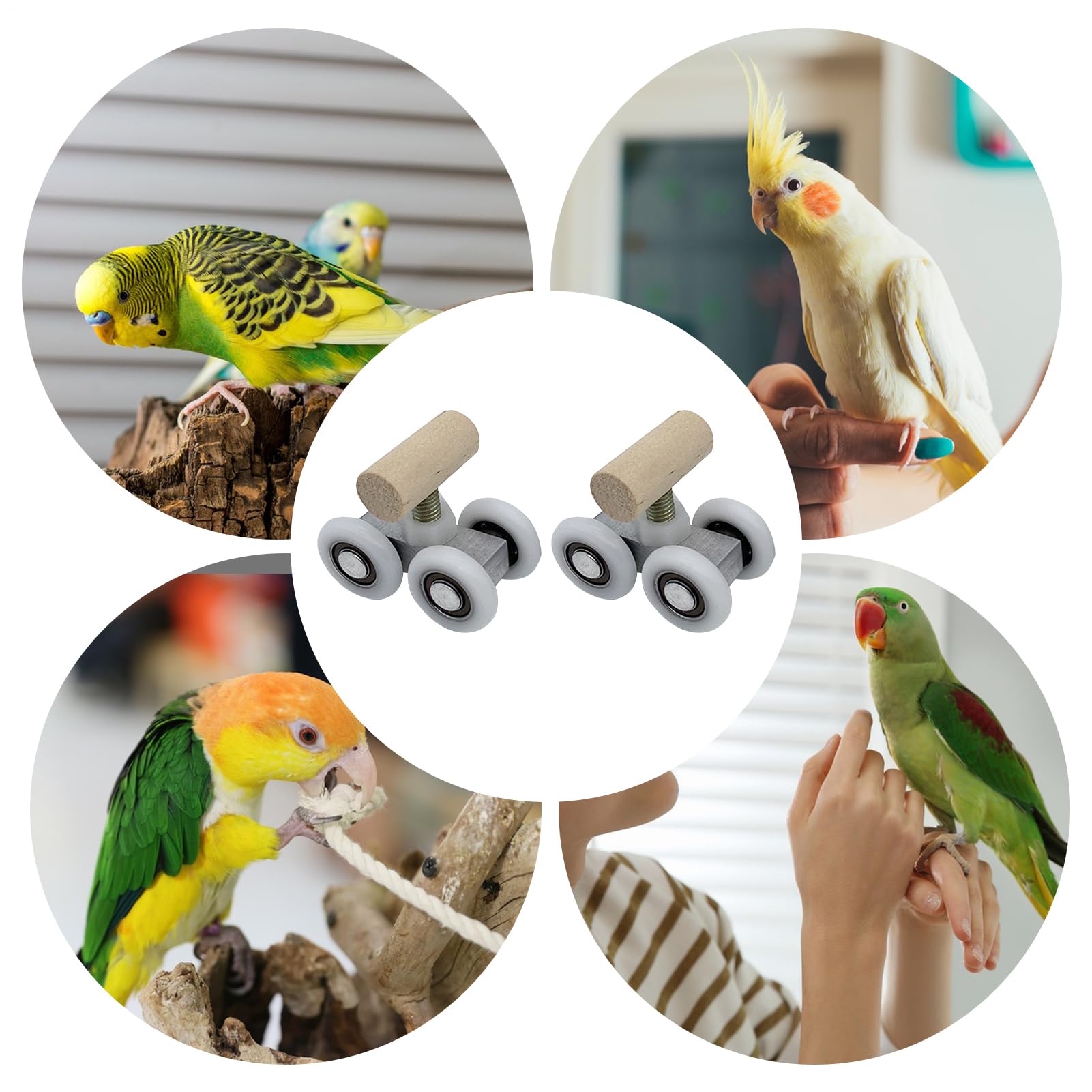 Amazon | インコ用おもちゃ 大型オウムのための知育玩具,一組 ローラー
