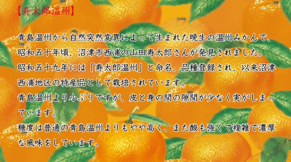 Amazon.co.jp: 雅心苑 みかん ゼリー 【ミリュ寿太郎蜜柑ゼリー
