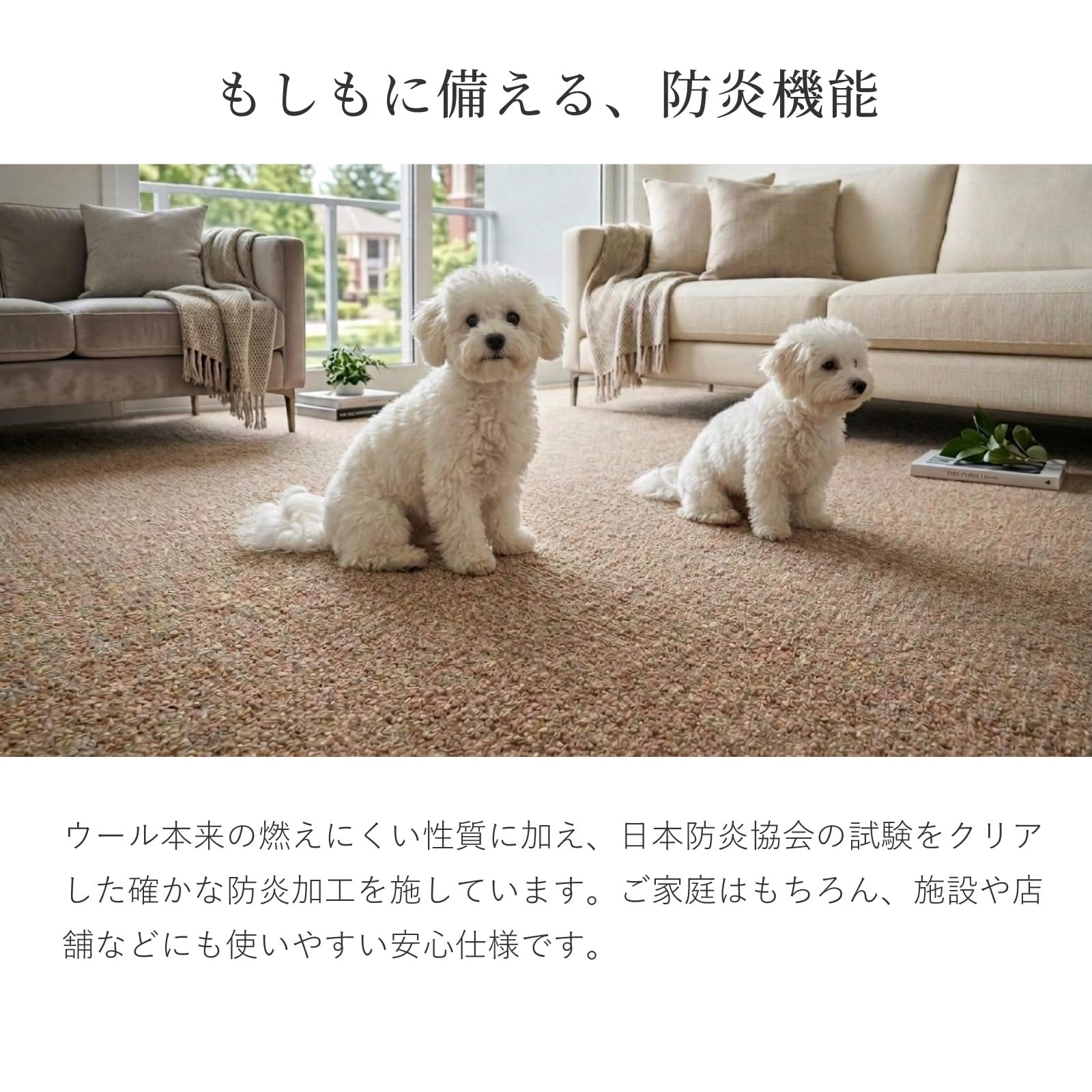 カーペットウール100% 6畳(261×352cm) Amazon | 萩原 オペラ ウール100% カーペット 江戸間6畳 261×352cm