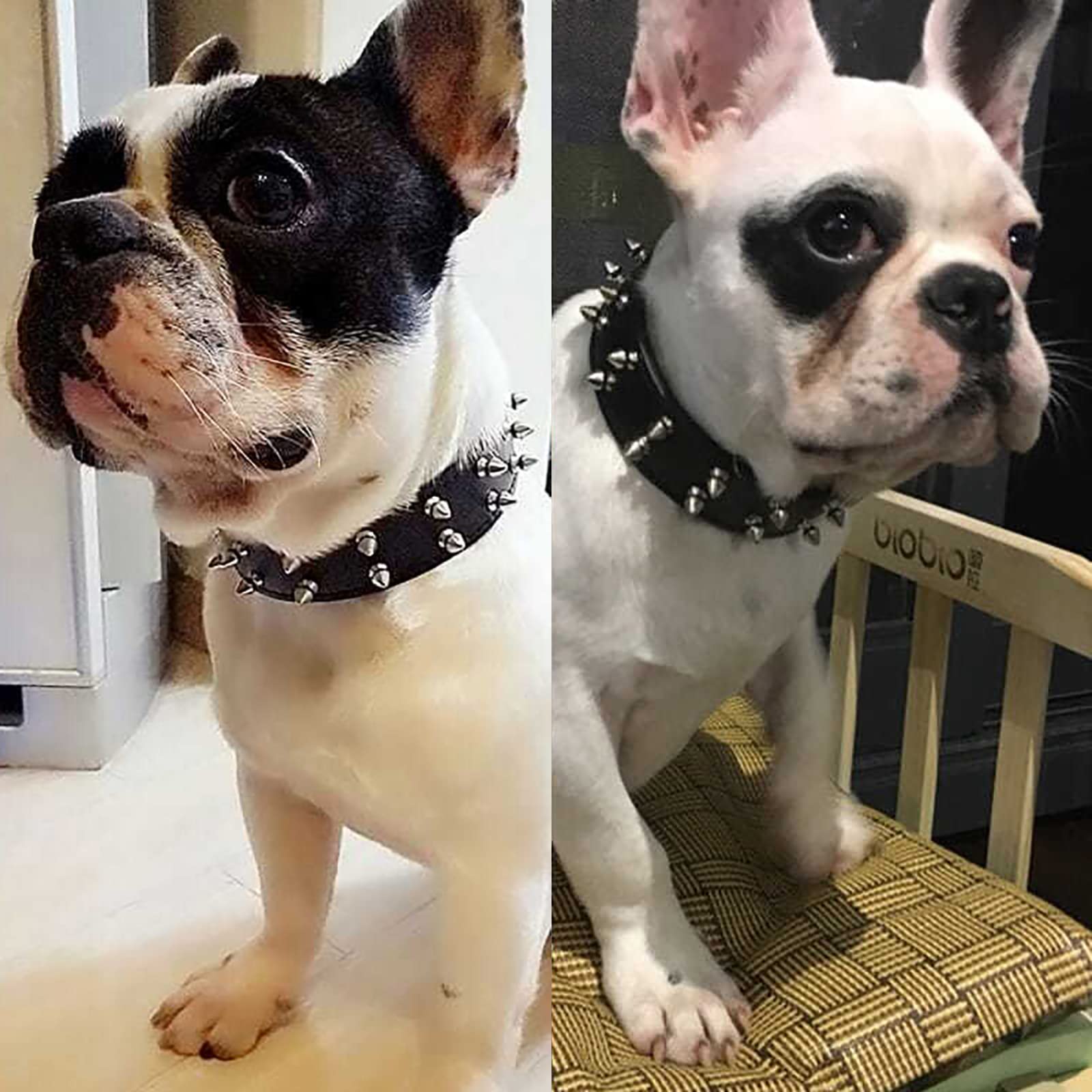 Amazon | 犬の首輪 スタッズ ワイルド トゲトゲ 犬用くびわ 頑丈 調節