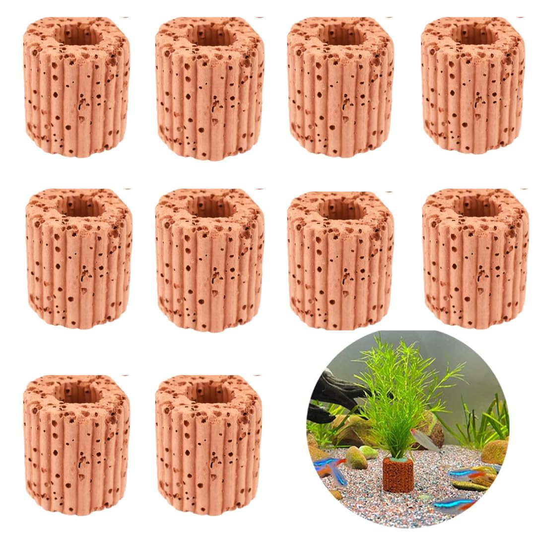 Amazon.co.jp: エイトショップ 屋 水生植物固定リング 水草固定リング