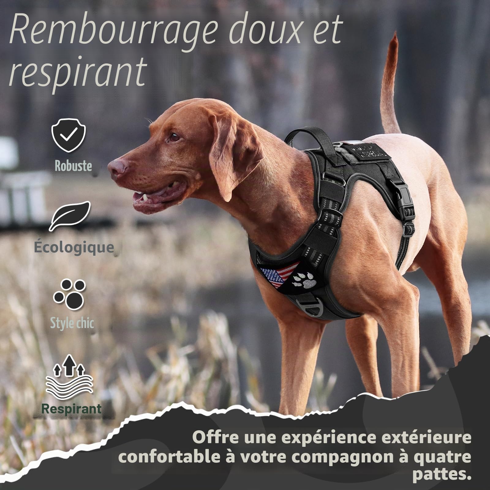 rabbitgoo Harnais Chien Anti Traction, Harnais Tactique Chien Réfléchissant Réglable avec Poignée et Anneaux, Gilet Solide Facile à Mettre, Harnais Chien Militaire pour Entraînement Chasse, Noir, L