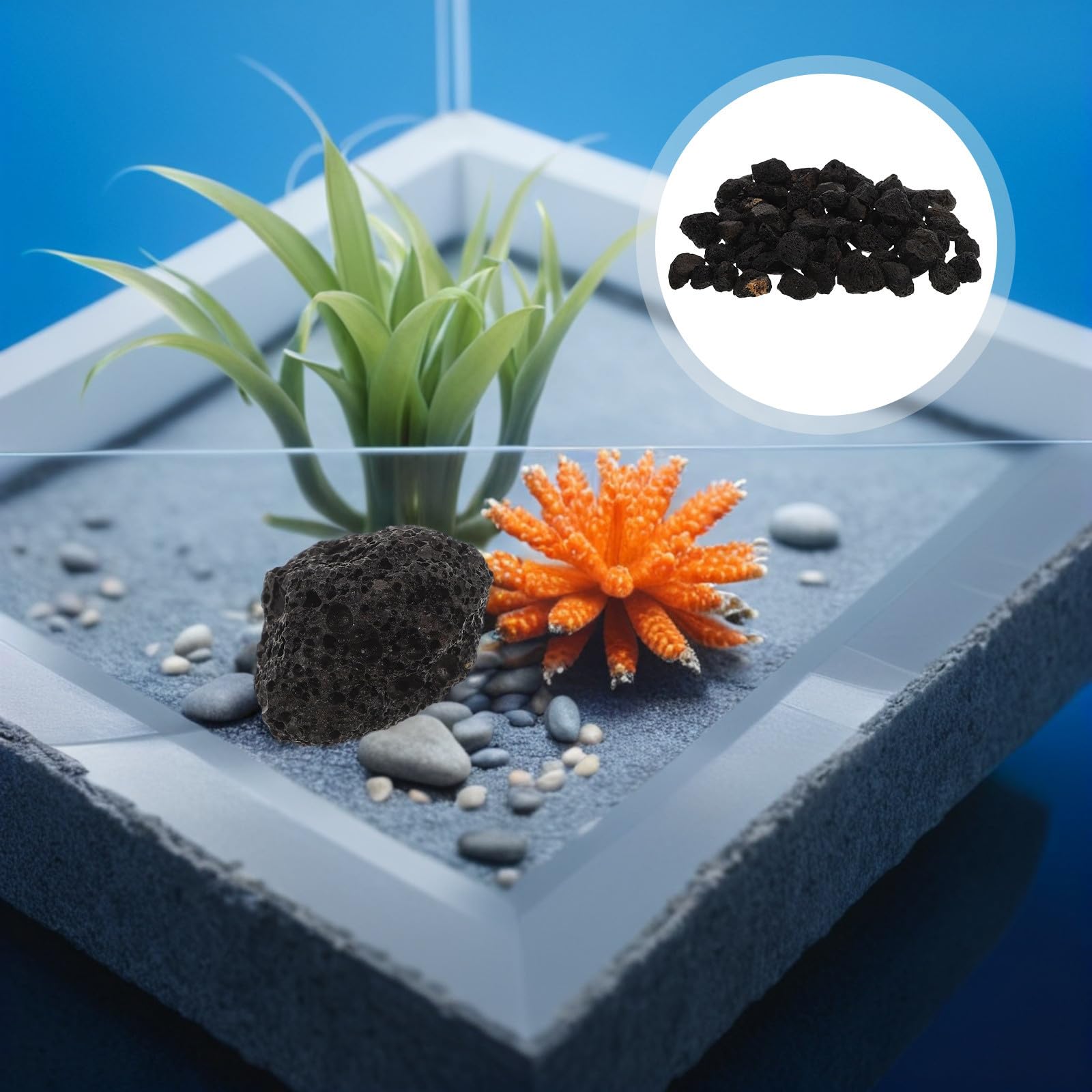Totority Gravier en Pierre Ignée Noire 1kg pour Aquarium d'eau Douce, Stable et Ne Se Dissout Pas, pour Plantes Aquatiques et Bettas