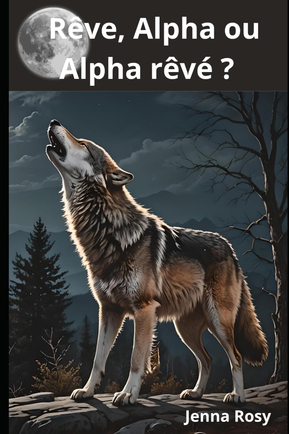 Rêve, Alpha ou Alpha rêvé ?