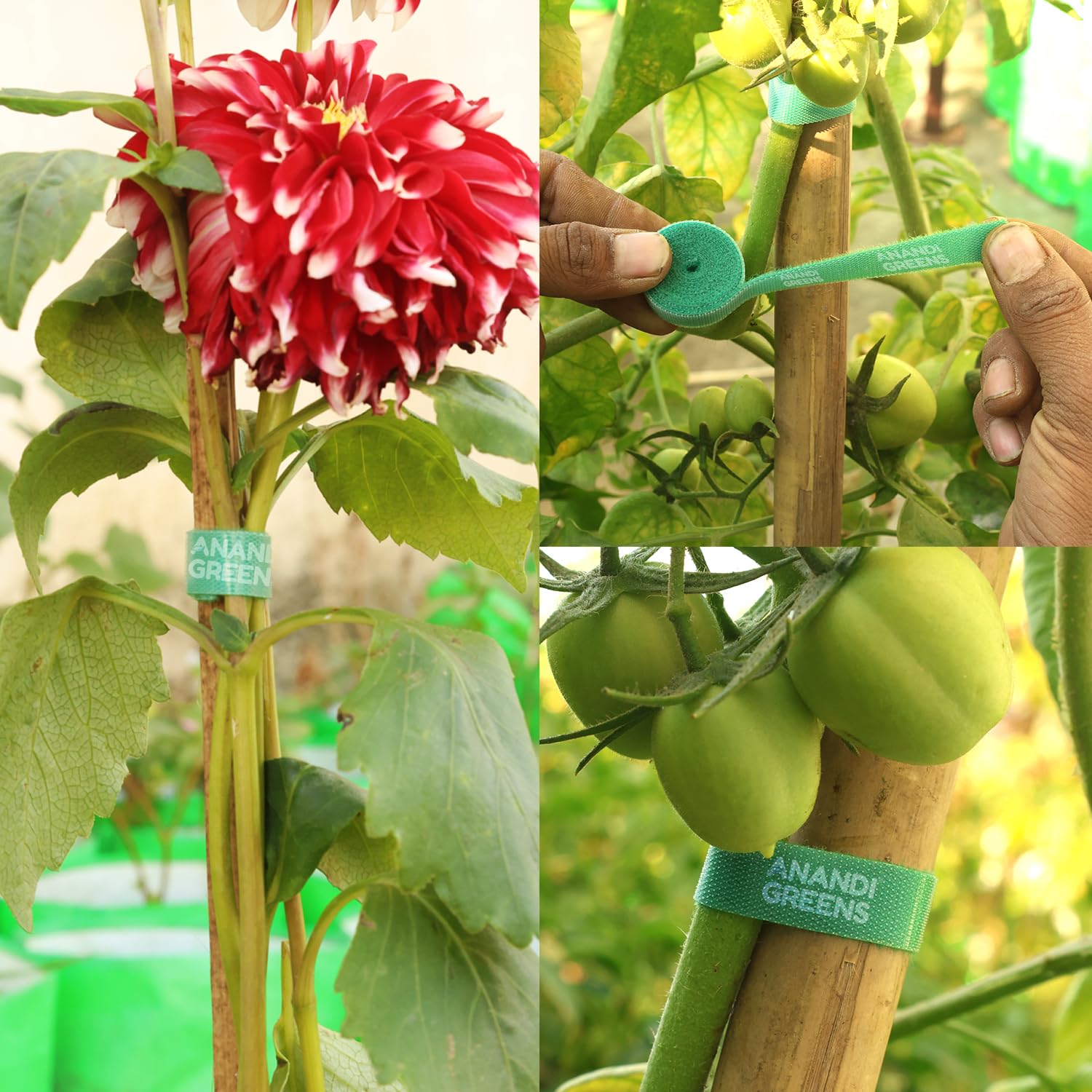 Anandi Green's 1 Meter x 12 MM Plant Ties Reusable Adjustable Gentle Plants Supports for Effective Growing Multi Use Support Tie Tape for Gardening Wire Organizer Cable Management (5, Green) - Image 3 thumbnail