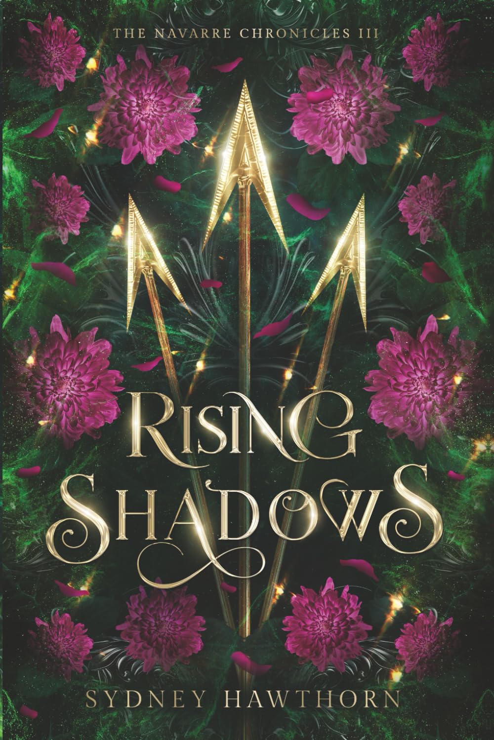 Rising Shadows (The Navarre Chronicles)