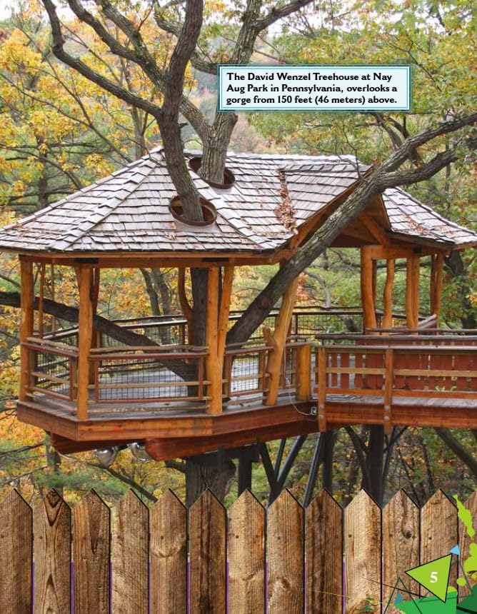 On the Job: Contractors: Perimeter and Area (Mathematics in the Real World) - Image 5