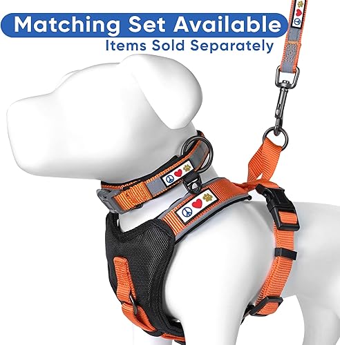 Miniatura 7 de Arnés para perro Pawtitas para entrenamiento de suave, ajustable, reflectante, acolchado para cachorros, Anaranjado
