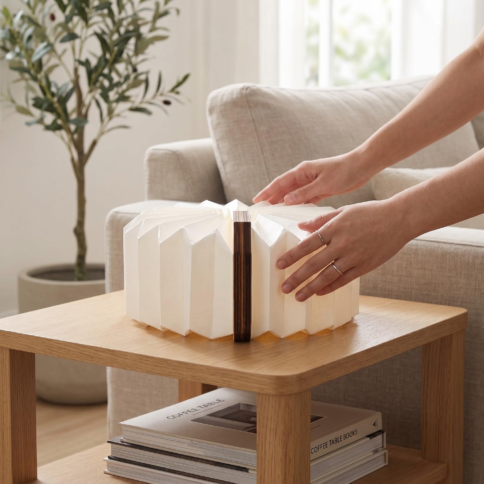 Dpofirs Lámpara de Libro de Madera, Lámpara Portátil Recargable por USB con Luz Blanca Cálida Ajustable y Diseño Plegable para Decoración de Escritorio de Noche y Lectura Nocturna (arce blanco)