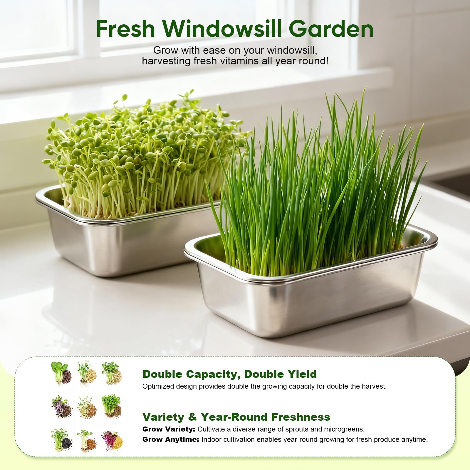 Lot de 2 Plateaux de Germination Graines en Acier Inoxydable, Kit Germoir INOX pour Microgreens,Culture Hydroponique sans Terre,Bac à Germes Réutilisable pour Cresson,Roquette et Pousses de Légumes