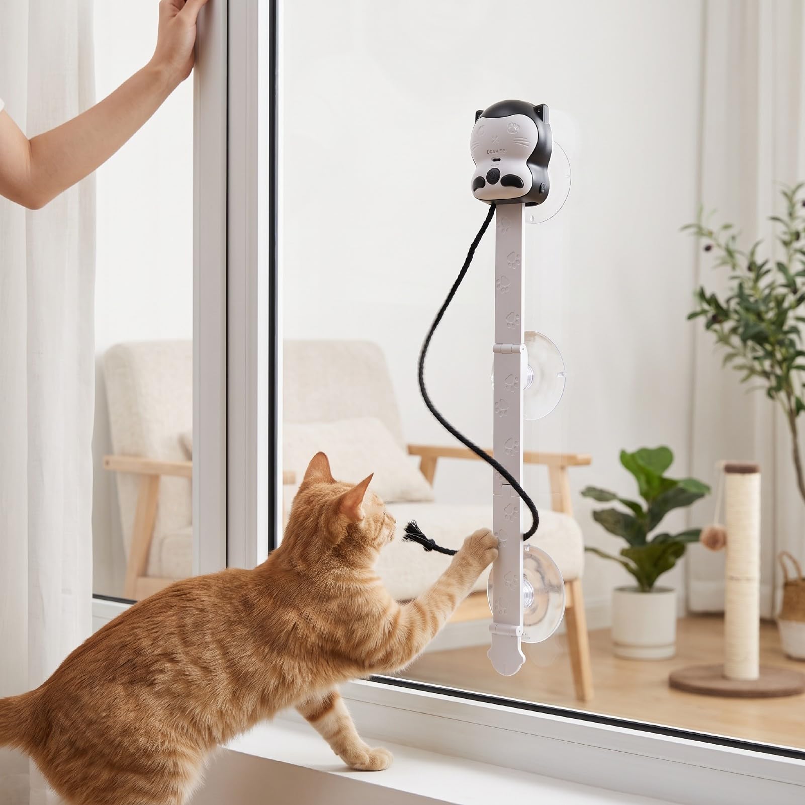 Jouet Interactif Automatique pour Chat, 2 Modes, Batterie 1200 MAh