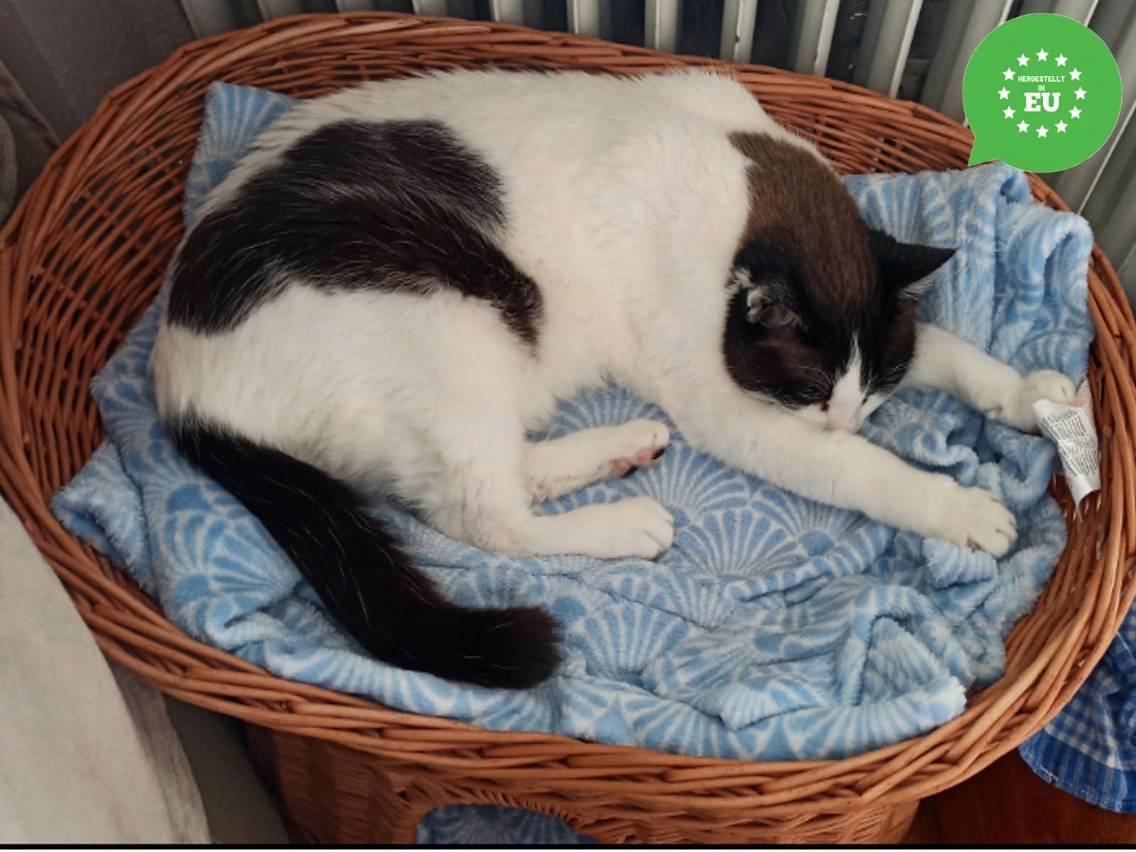 Katzenkorb zum Schlafen – Katzenhütte Indoor – Größe L: 60 cm oval – Katzenhöhle aus Weide – Zweistöckiger Hunde – oder Katzenbett mit waschbaren Kissen in Ecru – Natürliche Korbfarbe