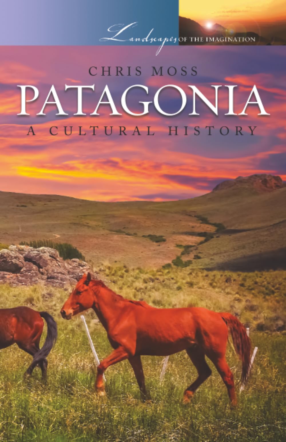 Patagonia: A Cultural History (Landscapes of the Imagination)