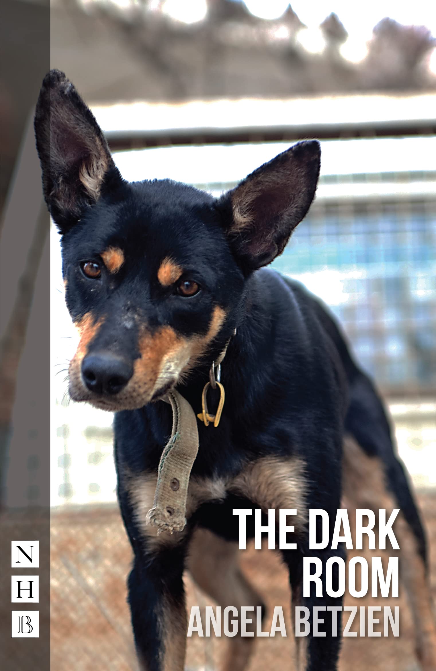 The Dark Room (NHB Modern Plays)