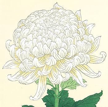 Amazon.co.jp: 河原崎奨堂 (Kawarazaki Shodo) (18991973)木版画