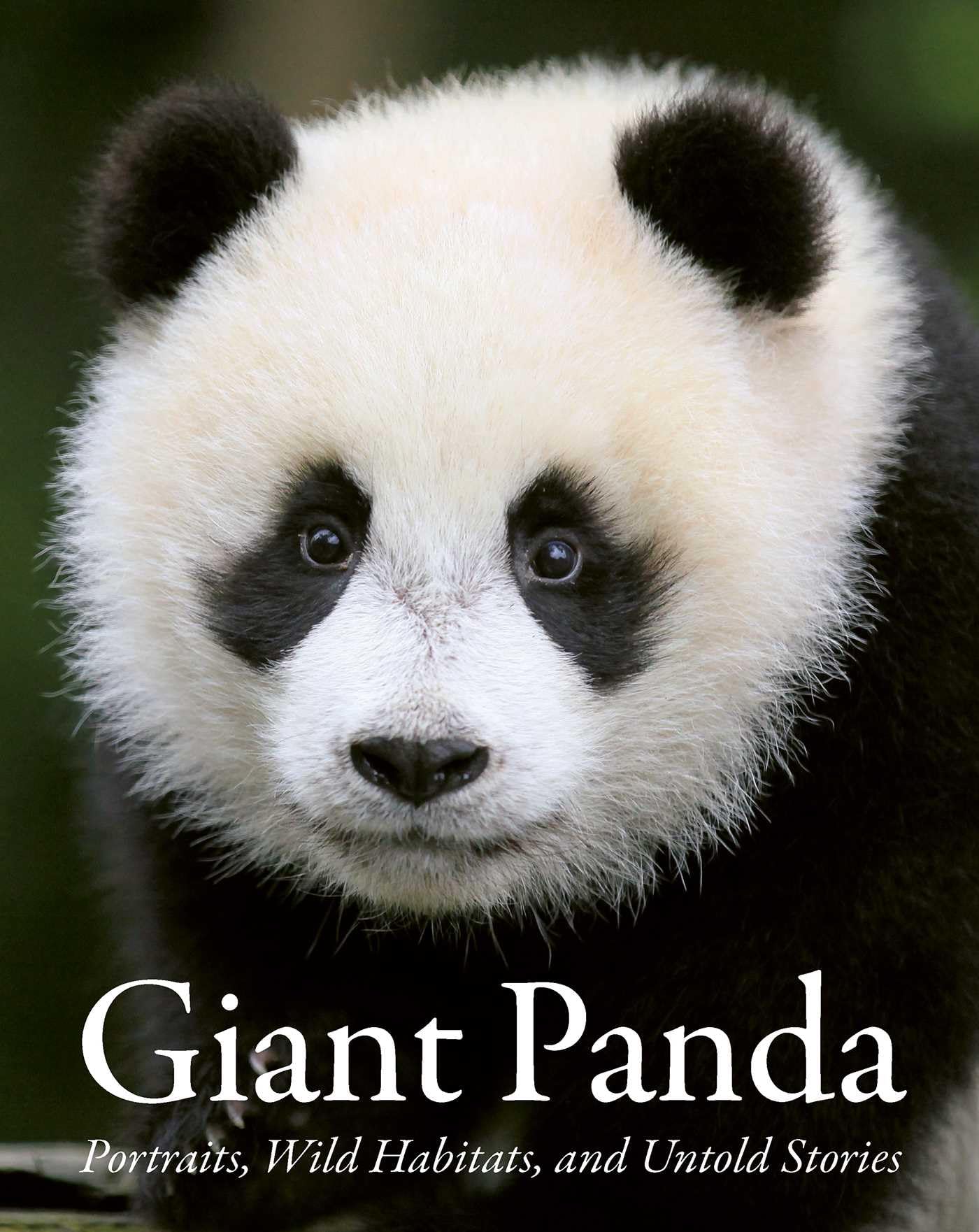 Giant Panda: Portraits, Wild Habitats, and Untold Stories