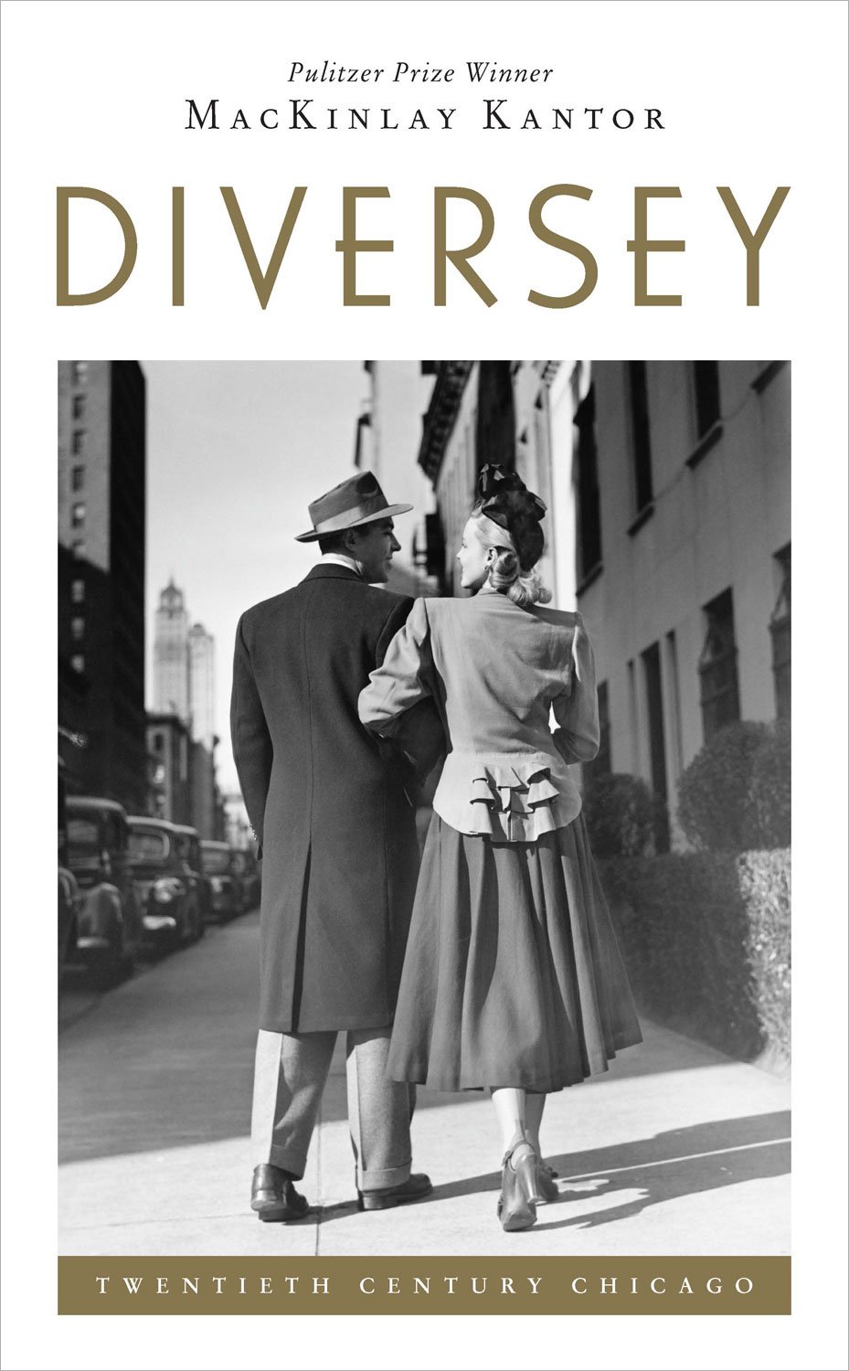 Buy Diversey (Twentieth Century Chicago) — BookShops.in