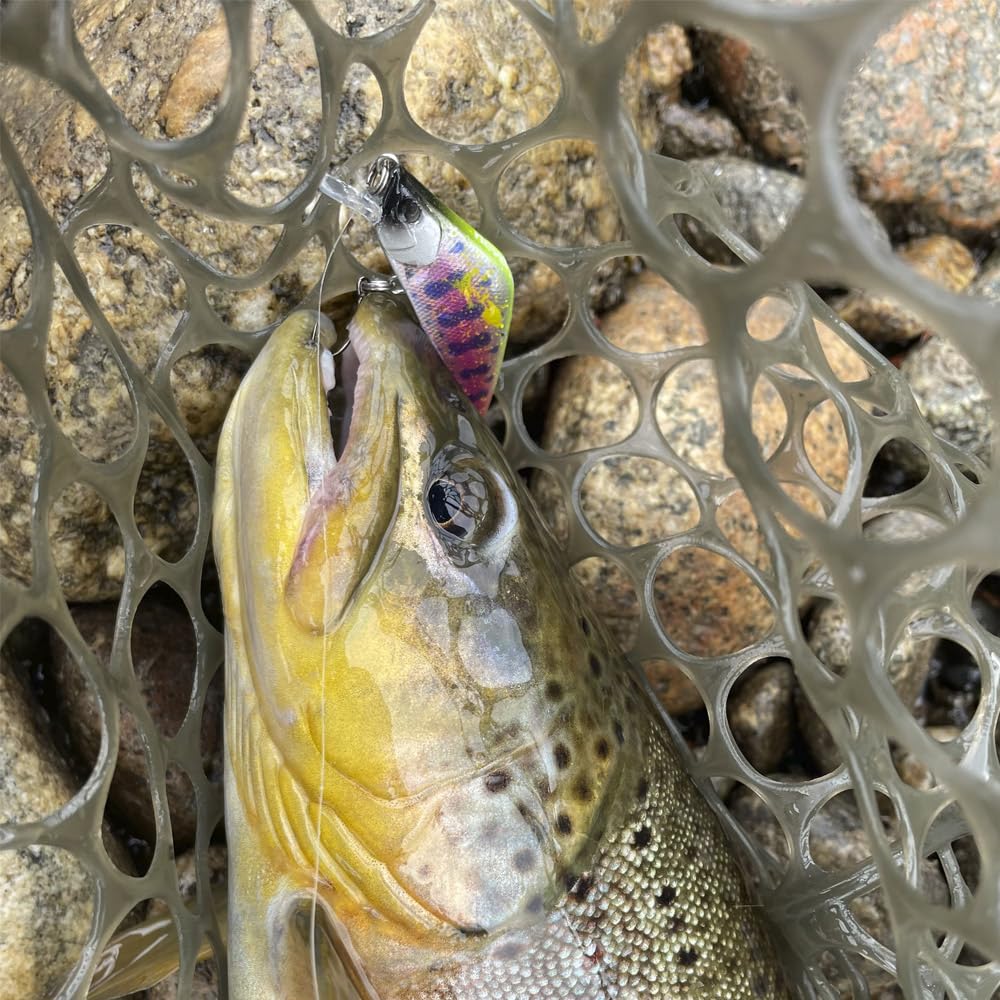 Wounded Wobbler Essentials 4er-Pack – Ultraleichter Wobble Minnow Crankbait Angelköder (55 mm & 50 mm) – Wounded Series – Einzelhaken – Forelle, Barsch & Panfish Köder