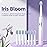 YUNCHI Electric Toothbrush for Adults and Kids, Travel Electric Toothbrush & Case, Sonic Rechargeable Toothbrushes, 90 Days, 8 Brush Heads, 2 Min Timer, IPX7 Waterproof, 5 Modes, Purple White Gradient