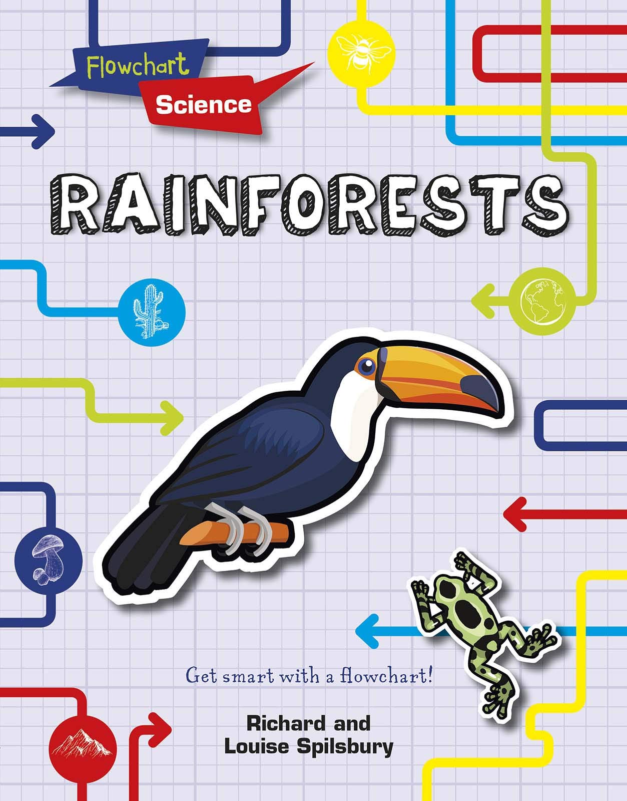 Buy Rainforests (Flowchart Science Habitats and Ecosystems) Online at