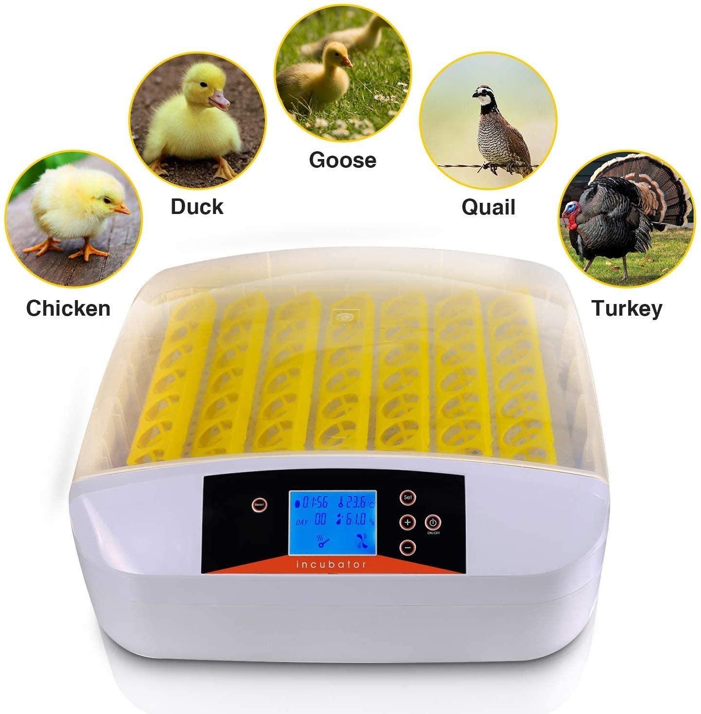 Incubateur d'œufs avec Rotation Automatique des œufs et contrôle de l'humidité, incubateur pour œufs à couver, Salle de Classe à Domicile et incubateur de Laboratoire pour 42 œufs de Poule