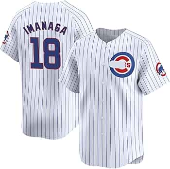 71YxAMEy8LL._AC_UF350,