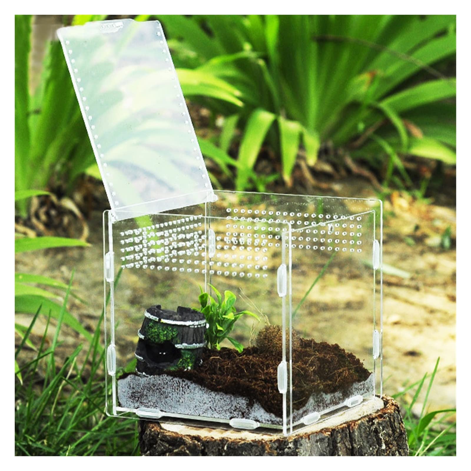 Reptilien-Terrarium, 360 Grad transparente Acryl-Reptilien-Terrarium-Futterbox for Reptilien
